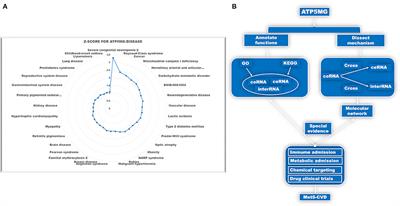 Potential of ATP5MG to Treat Metabolic Syndrome-Associated Cardiovascular Diseases